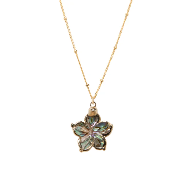 Luxury Meets Affordability – Jewelry Sale Live Now Abalone Paradise Necklace