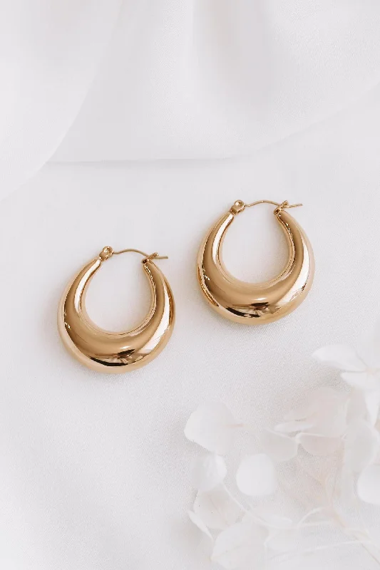 Elegant Jewelry At Unbeatable Prices – Shop Today Camilla - Stainless Steel Hoop Earrings