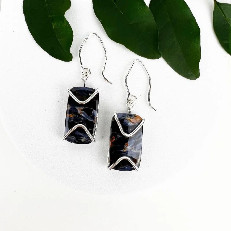 Chic, Trendy, And Affordable Jewelry Sale Pietersite Point Earrings