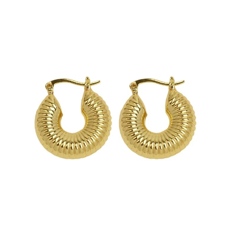 Flash Jewelry Sale – Get Stunning Pieces At Low Prices Textured Chunky Hoop Earrings