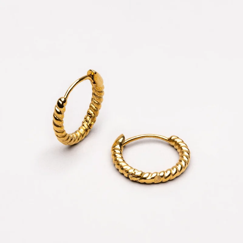 Get Your Favorite Jewelry At The Best Price Twisted Hoops Earrings