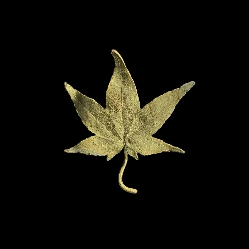 Grab Your Dream Jewelry At The Lowest Prices Japanese Maple Lapel Pin