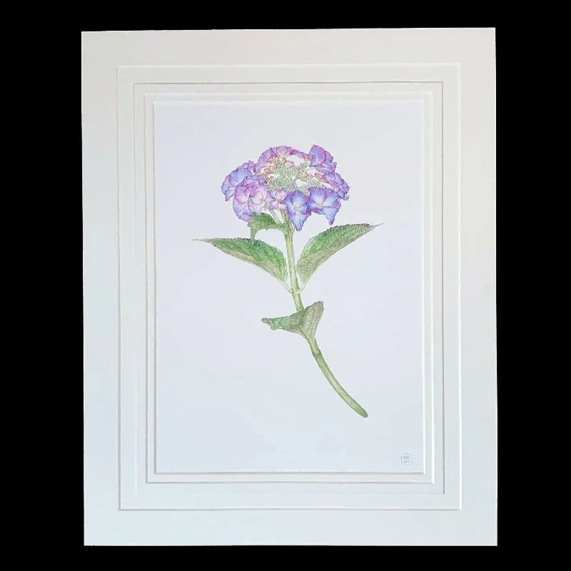 Limited-Stock Jewelry Sale – Once It's Gone, It's Gone Limited Edition Print "Hydrangea"