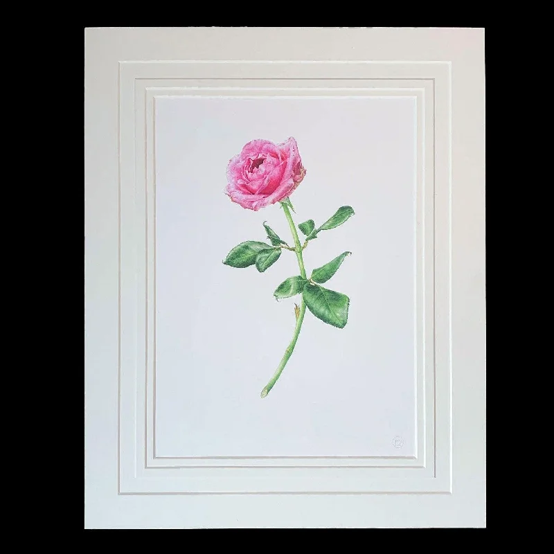 Chic, Trendy, And Affordable Jewelry Sale Limited Edition Print "Pink Rose"